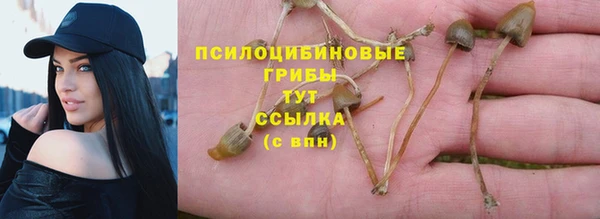 2c-b Балахна
